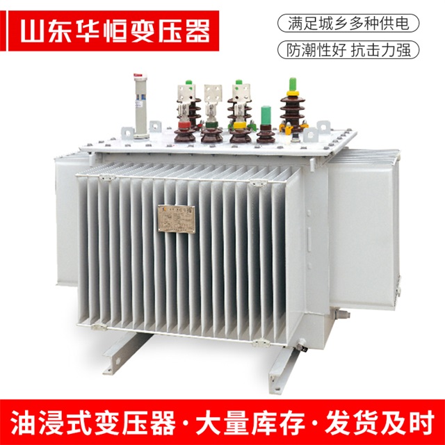 S13-10000/35布拖布拖布拖电力变压器